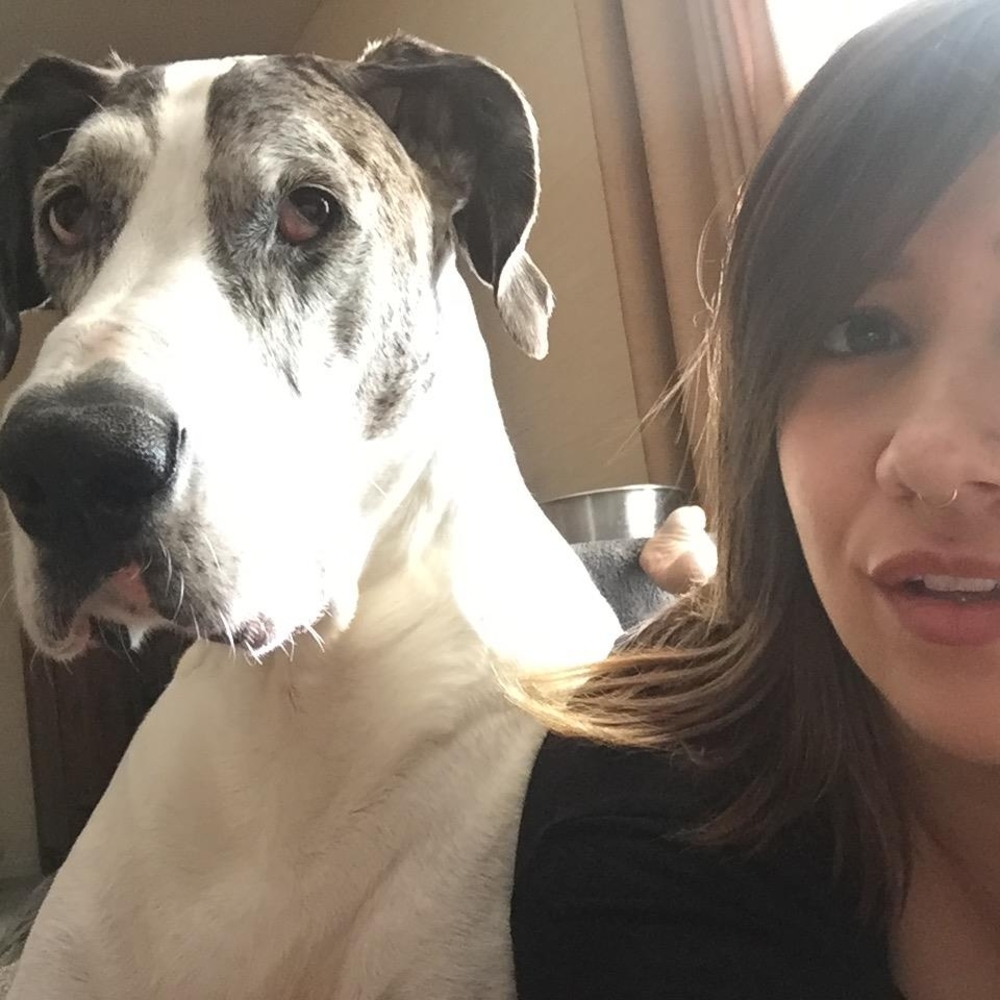 Meet your Posher, Emma